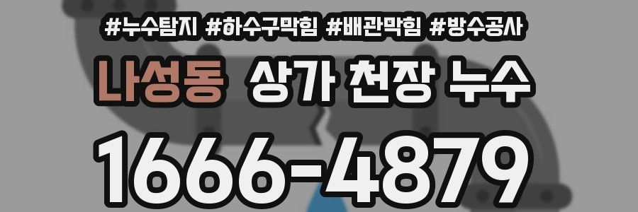 나성동 상가 천장 누수