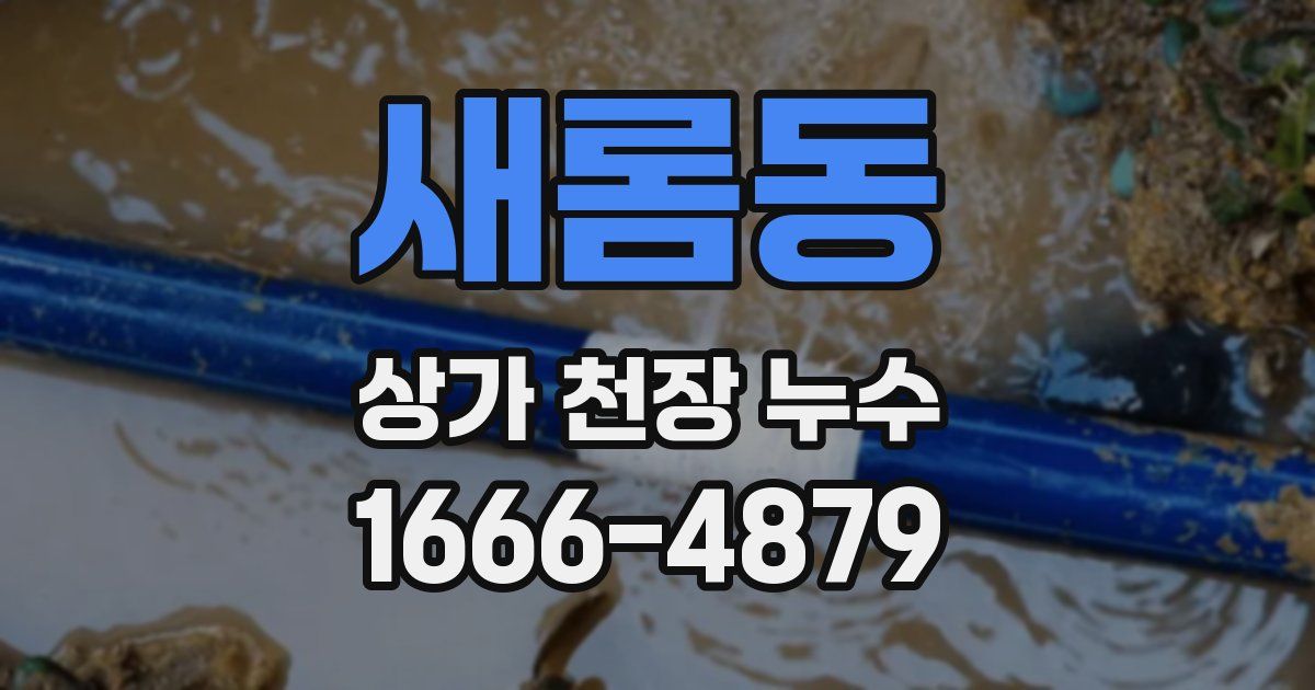 새롬동 상가 천장 누수