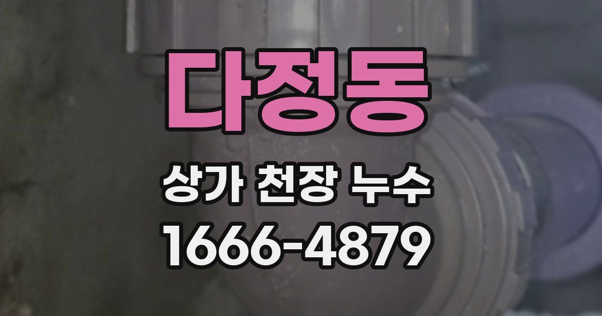 다정동 상가 천장 누수