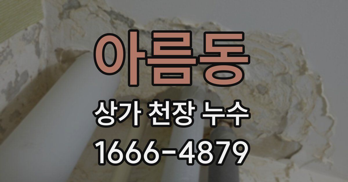 아름동 상가 천장 누수