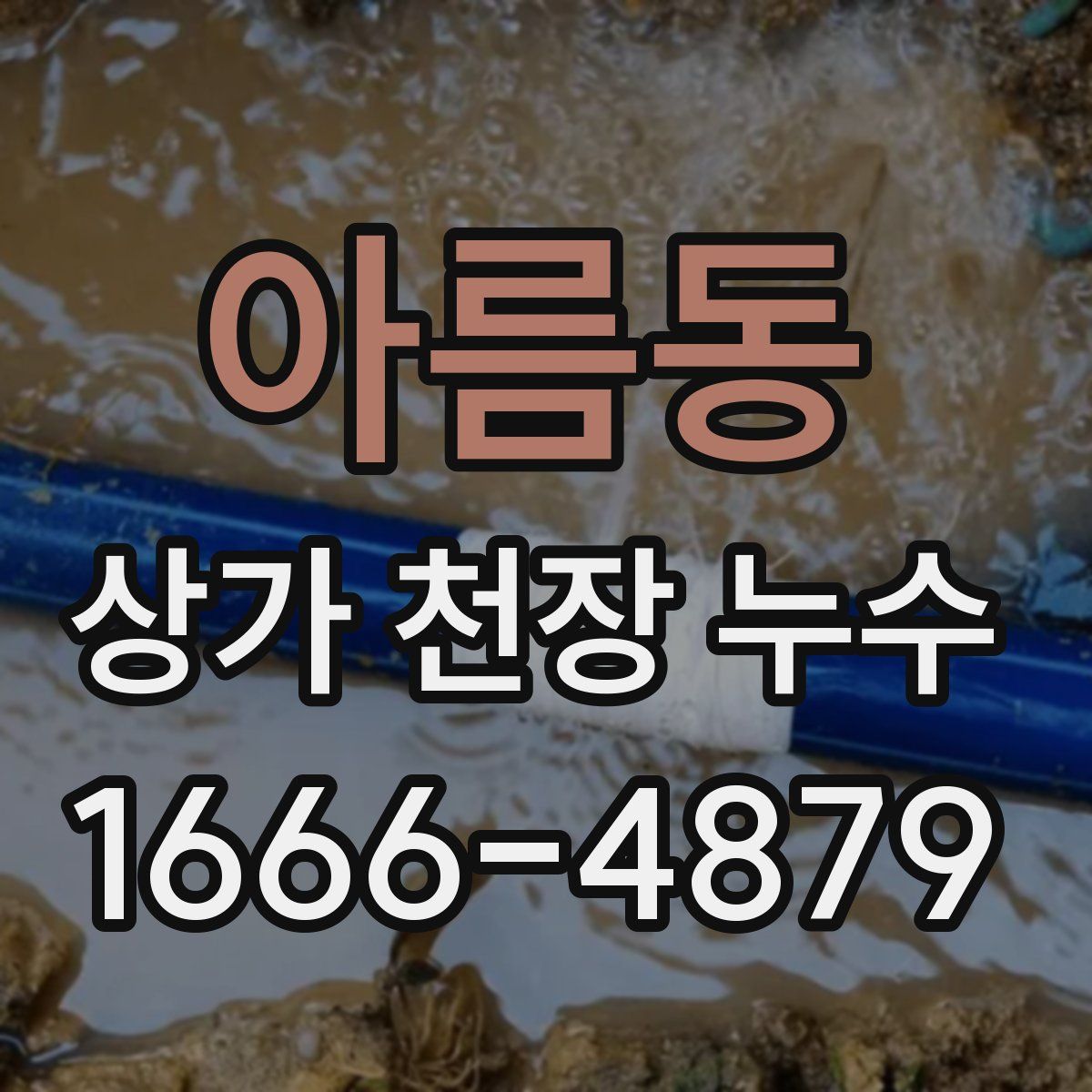 아름동 상가 천장 누수