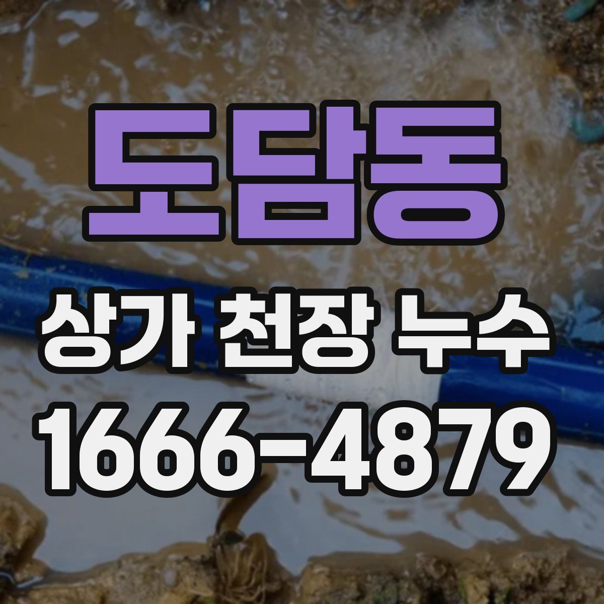 도담동 상가 천장 누수