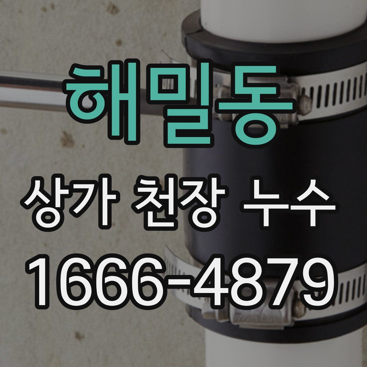 해밀동 상가 천장 누수