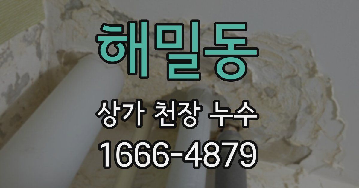 해밀동 상가 천장 누수