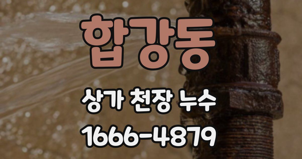 합강동 상가 천장 누수