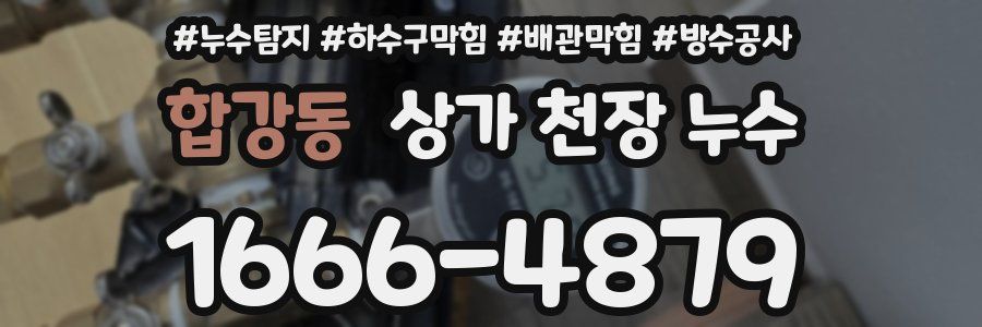 합강동 상가 천장 누수
