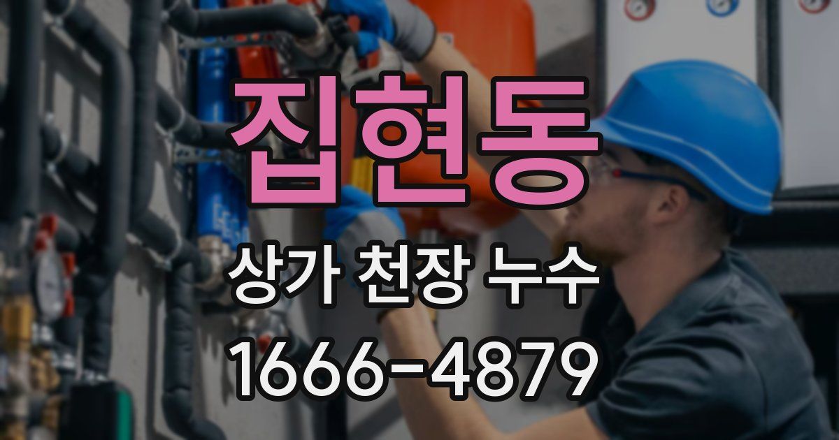 집현동 상가 천장 누수