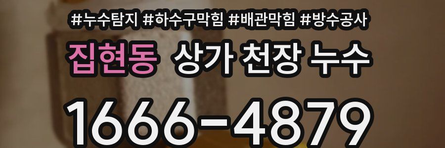 집현동 상가 천장 누수