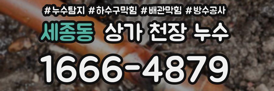 세종동 상가 천장 누수