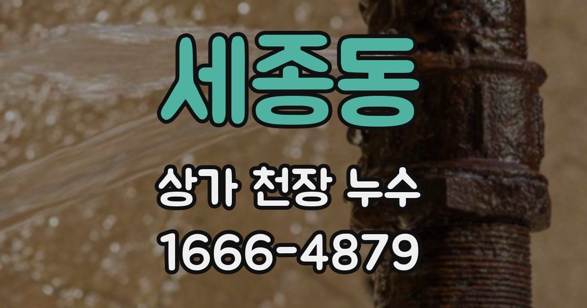 세종동 상가 천장 누수