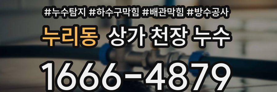 누리동 상가 천장 누수