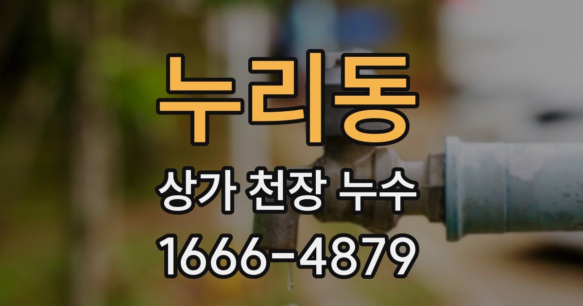 누리동 상가 천장 누수
