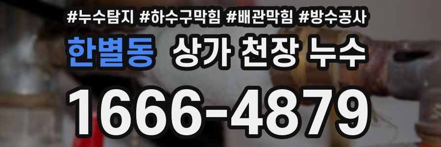 한별동 상가 천장 누수
