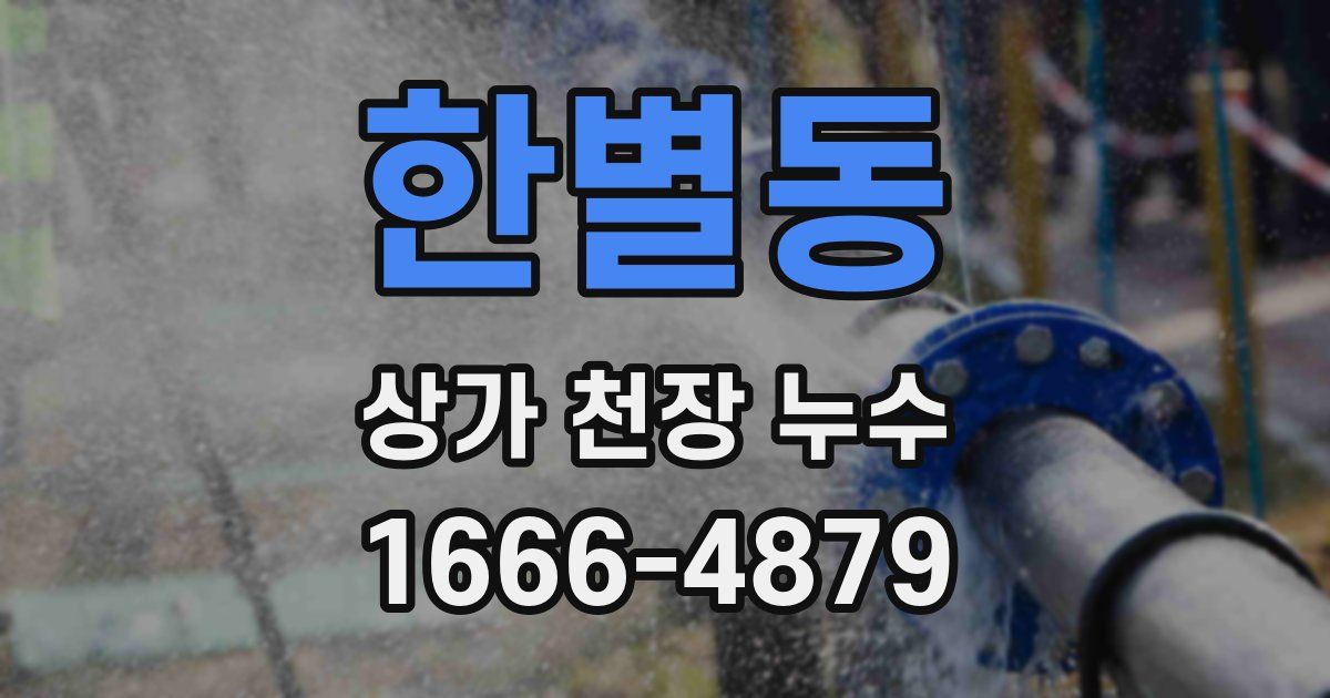 한별동 상가 천장 누수