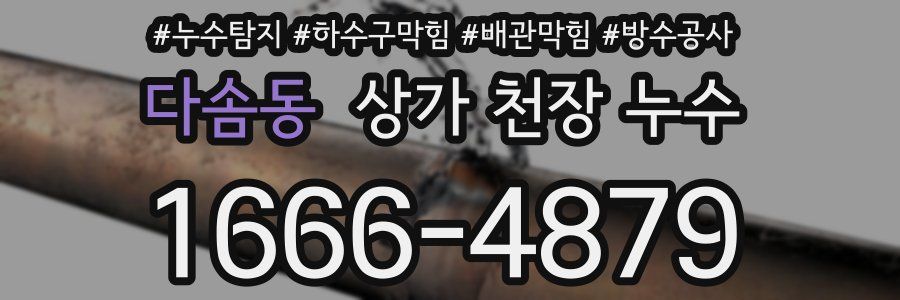 다솜동 상가 천장 누수