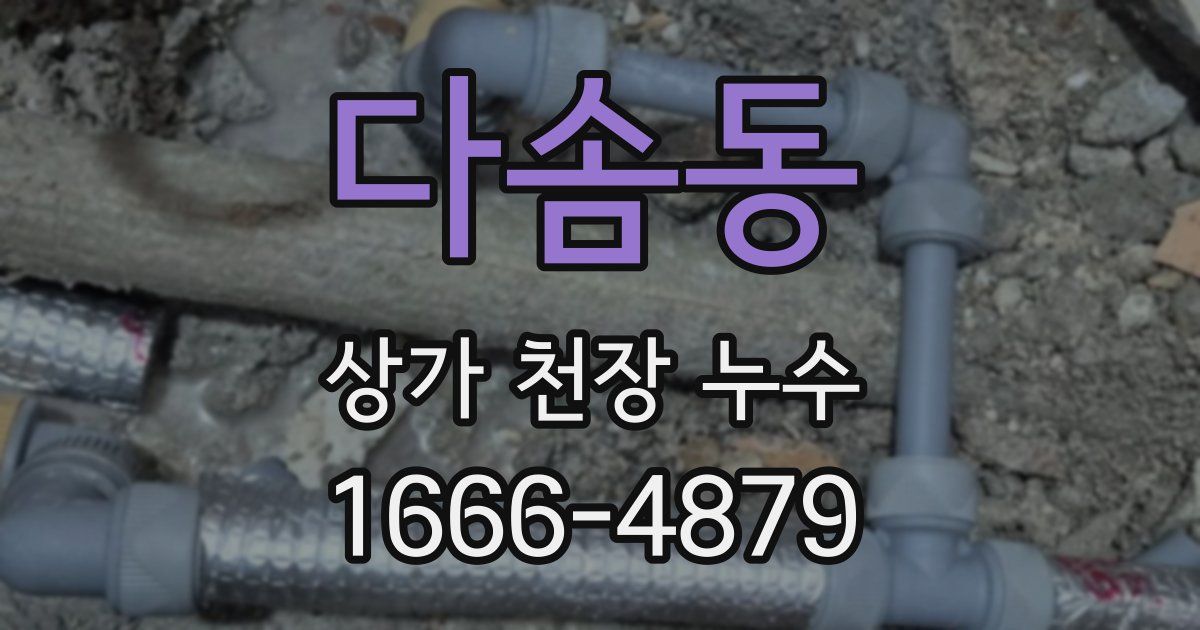다솜동 상가 천장 누수
