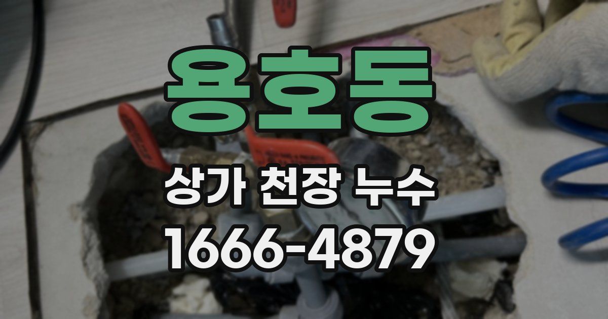 용호동 상가 천장 누수