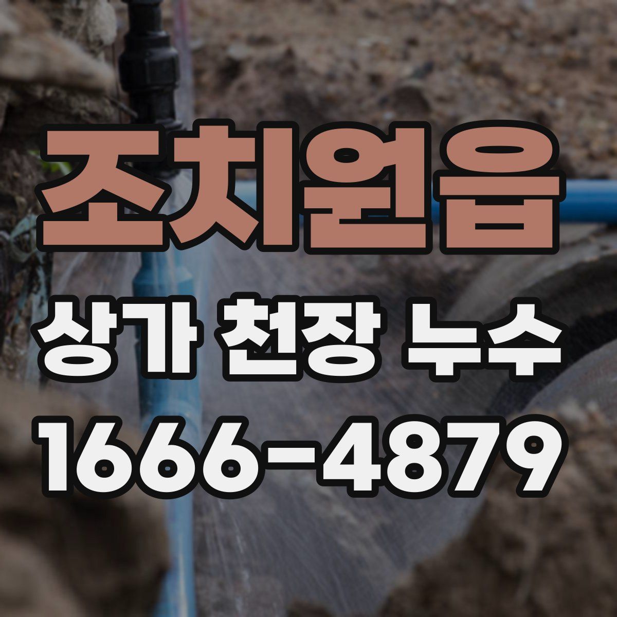 조치원읍 상가 천장 누수