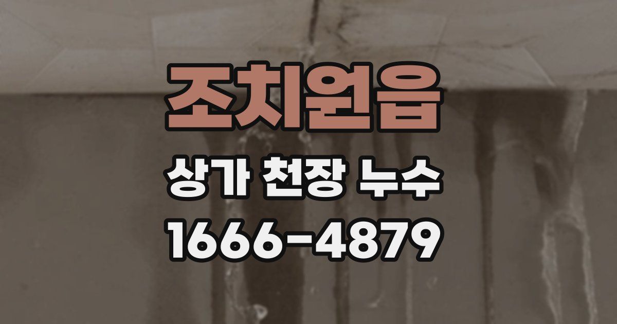 조치원읍 상가 천장 누수