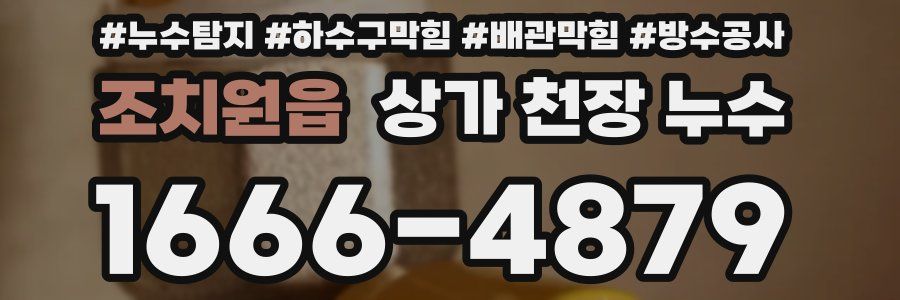 조치원읍 상가 천장 누수