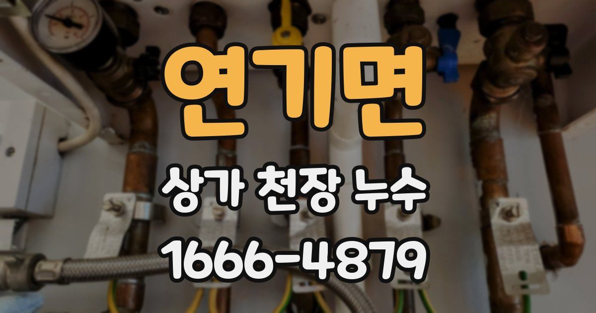 연기면 상가 천장 누수