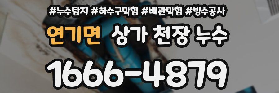 연기면 상가 천장 누수