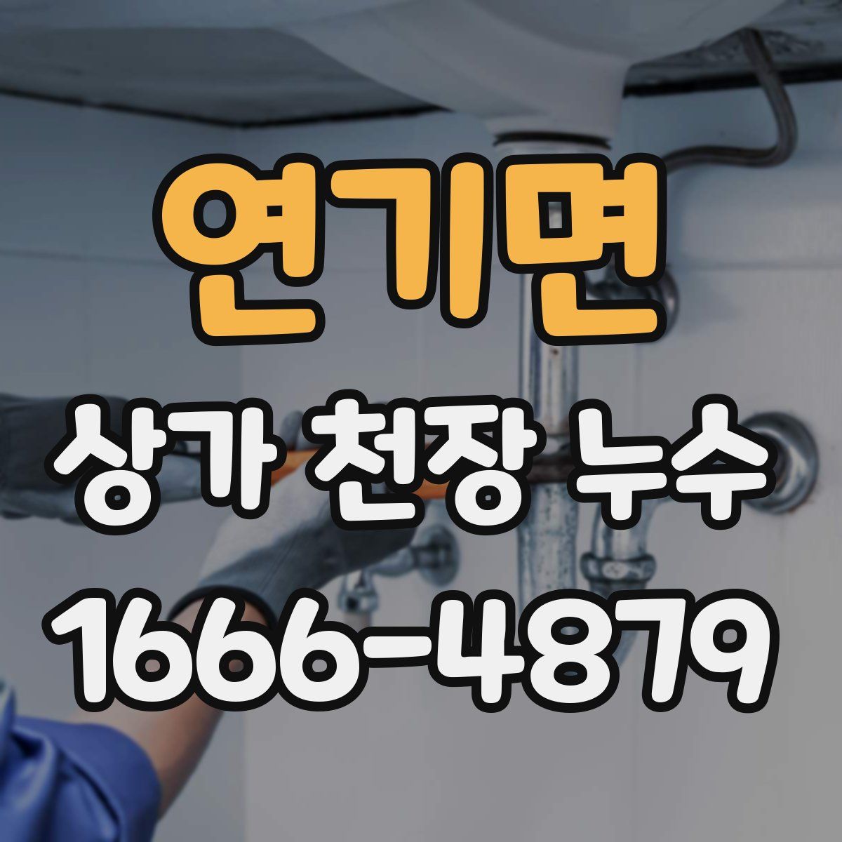 연기면 상가 천장 누수