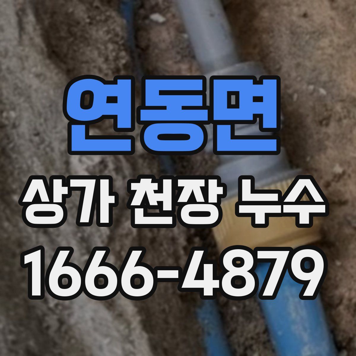 연동면 상가 천장 누수