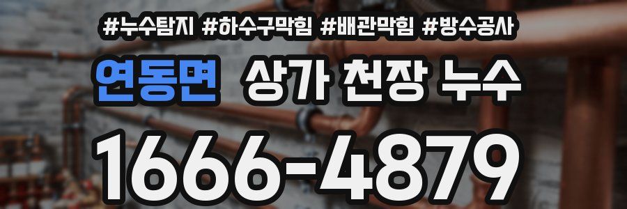 연동면 상가 천장 누수