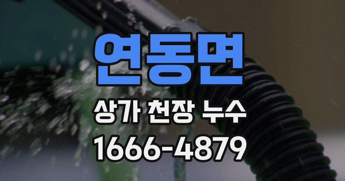 연동면 상가 천장 누수