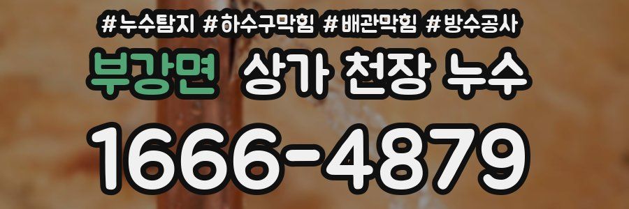 부강면 상가 천장 누수