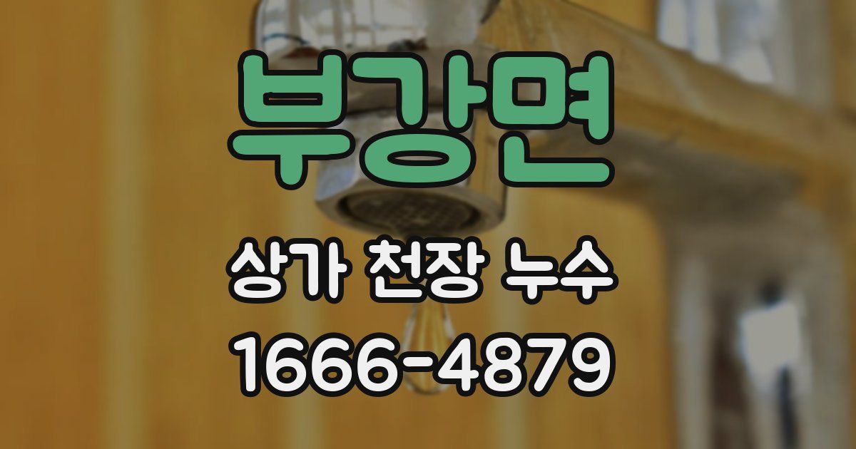 부강면 상가 천장 누수