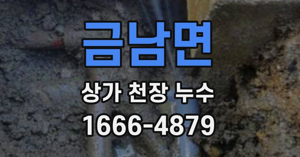 금남면 상가 천장 누수