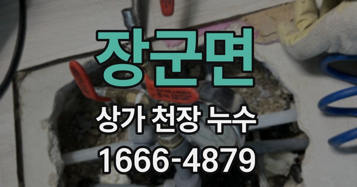 장군면 상가 천장 누수