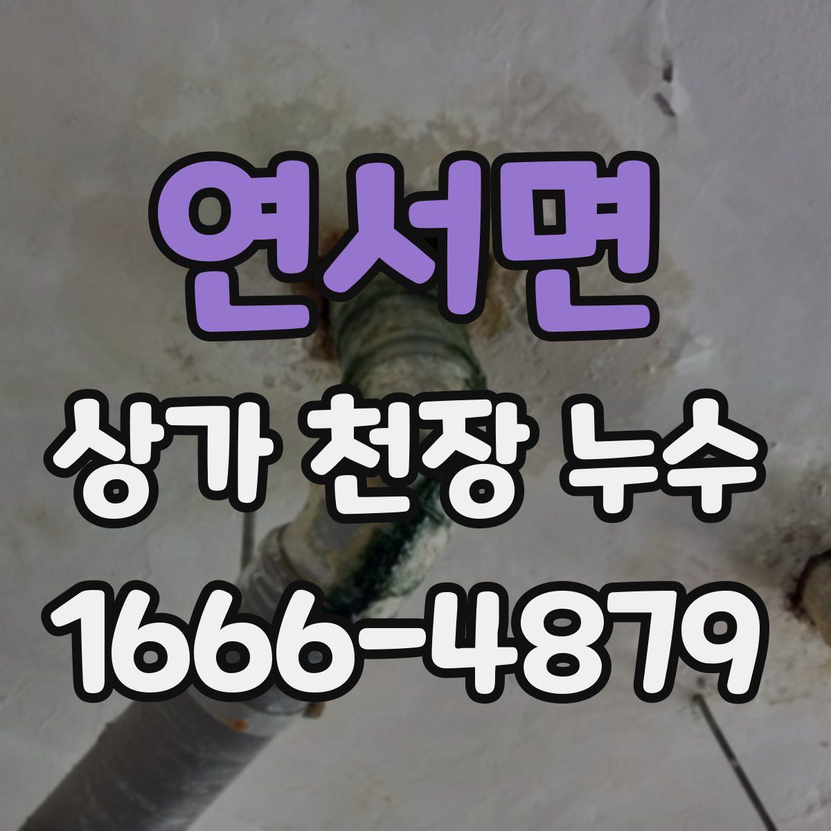 연서면 상가 천장 누수