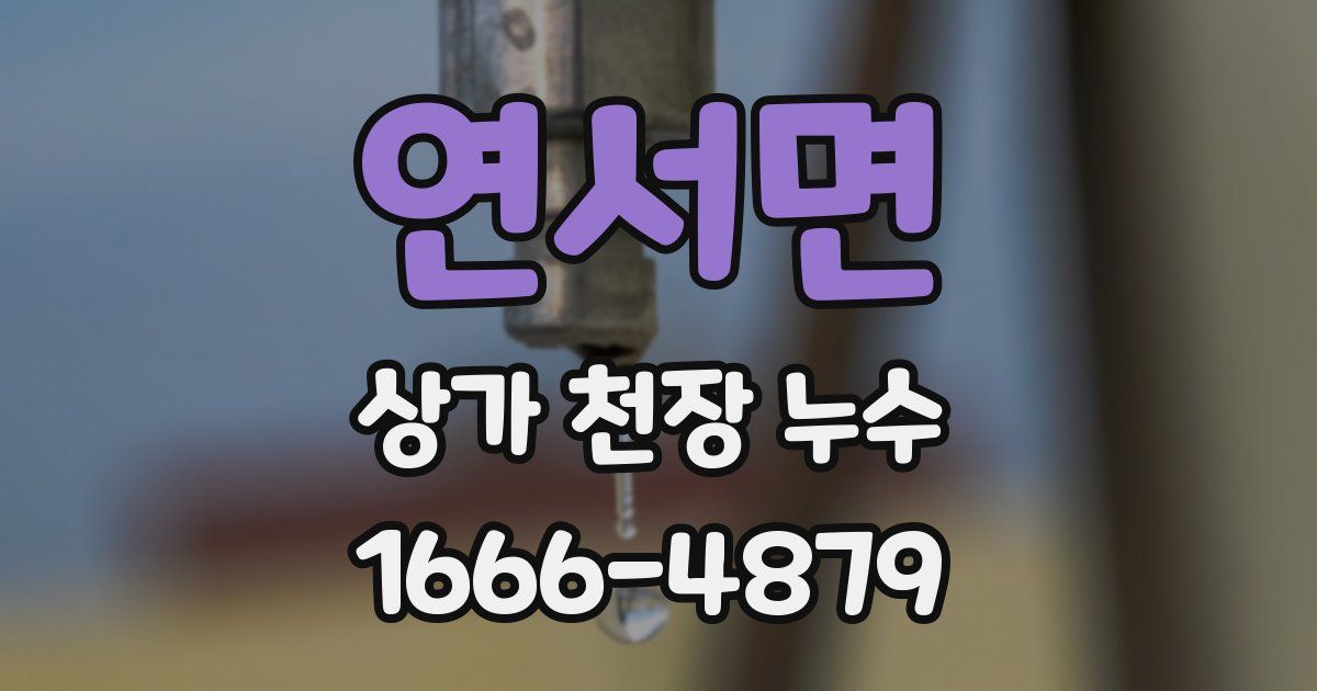 연서면 상가 천장 누수