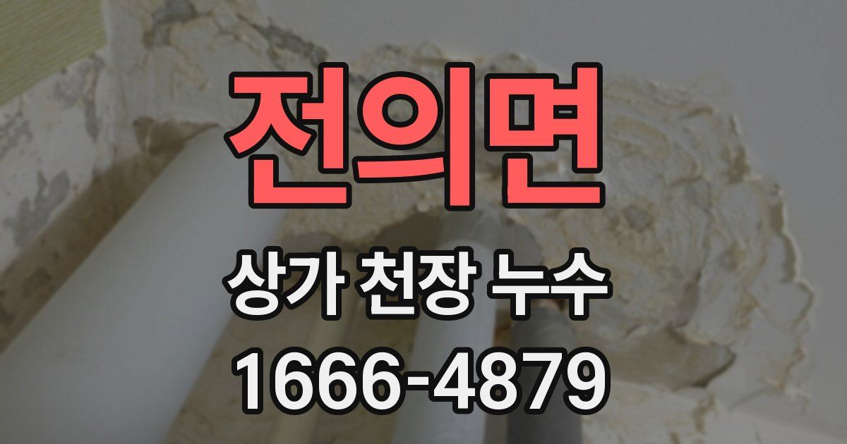 전의면 상가 천장 누수