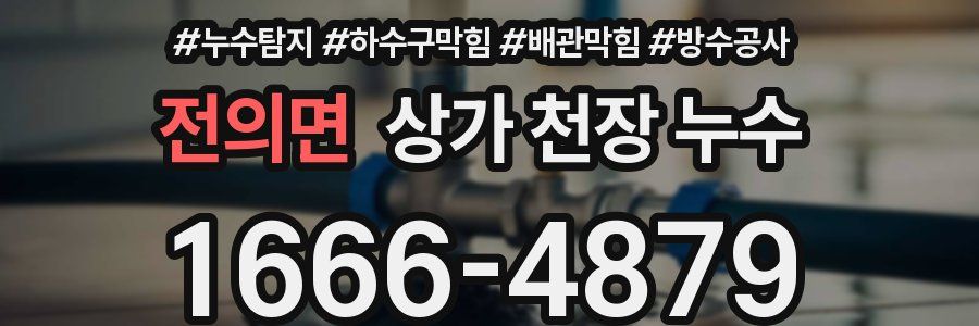 전의면 상가 천장 누수