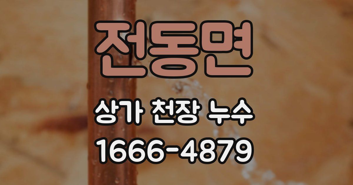 전동면 상가 천장 누수