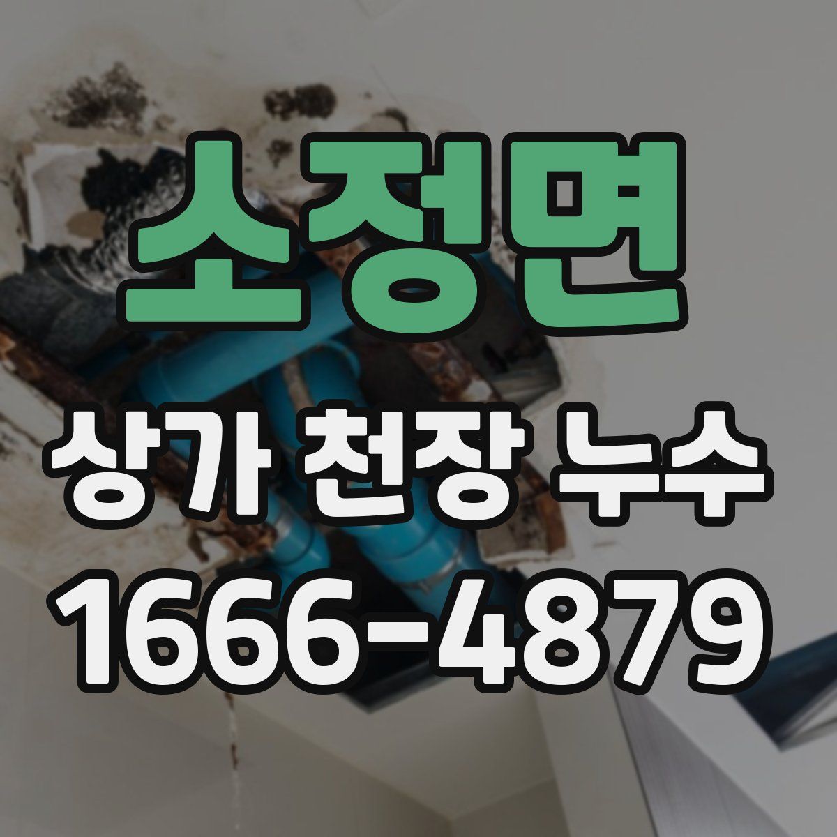 소정면 상가 천장 누수