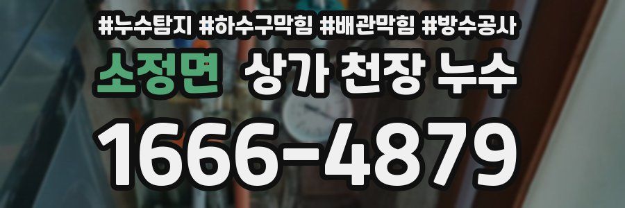 소정면 상가 천장 누수