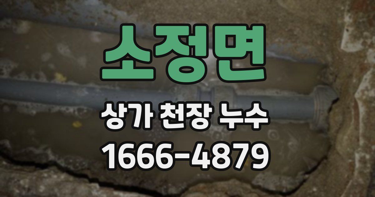 소정면 상가 천장 누수