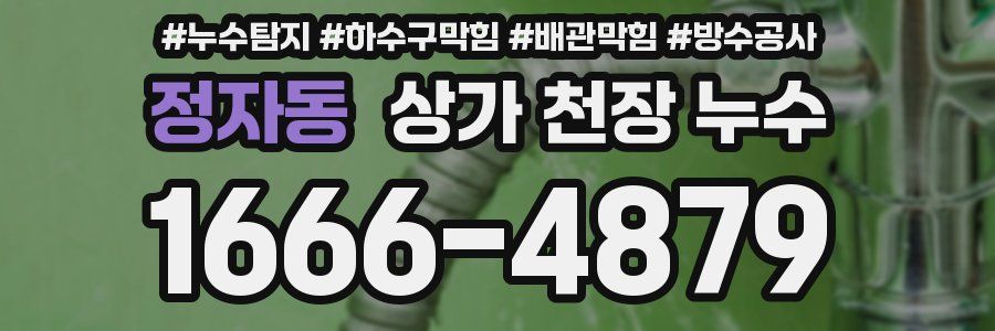 정자동 상가 천장 누수
