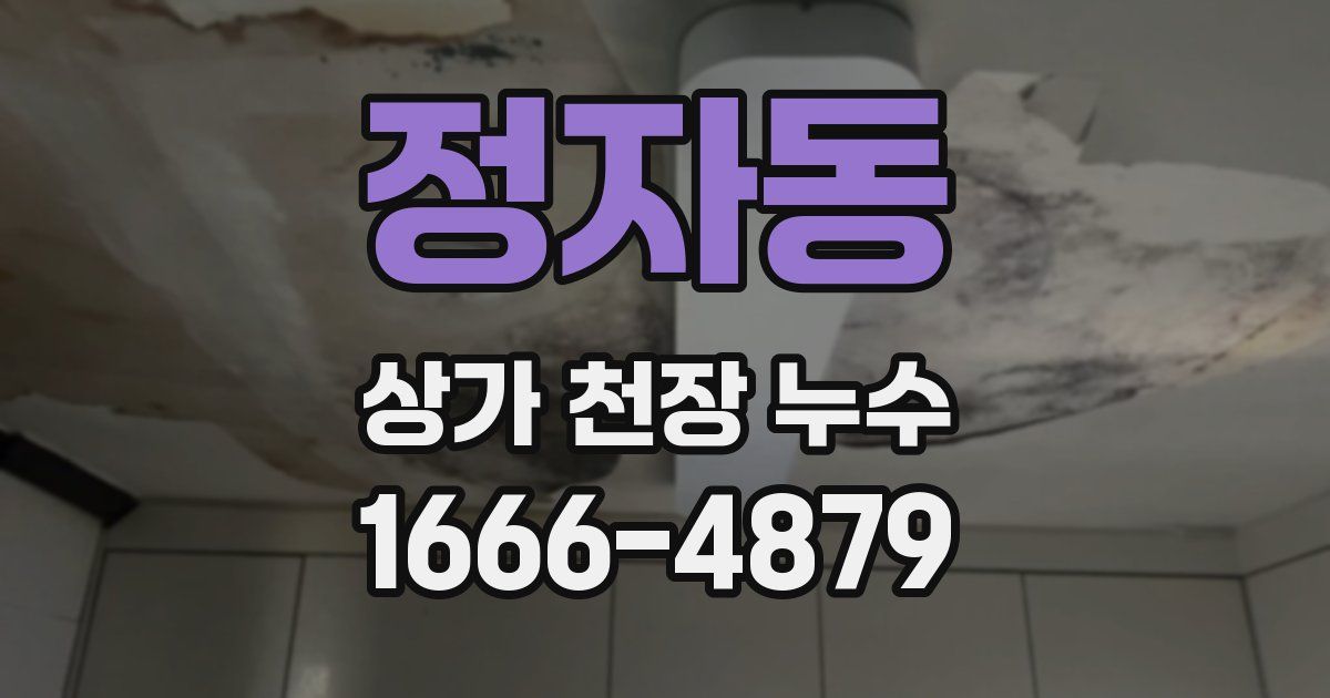 정자동 상가 천장 누수
