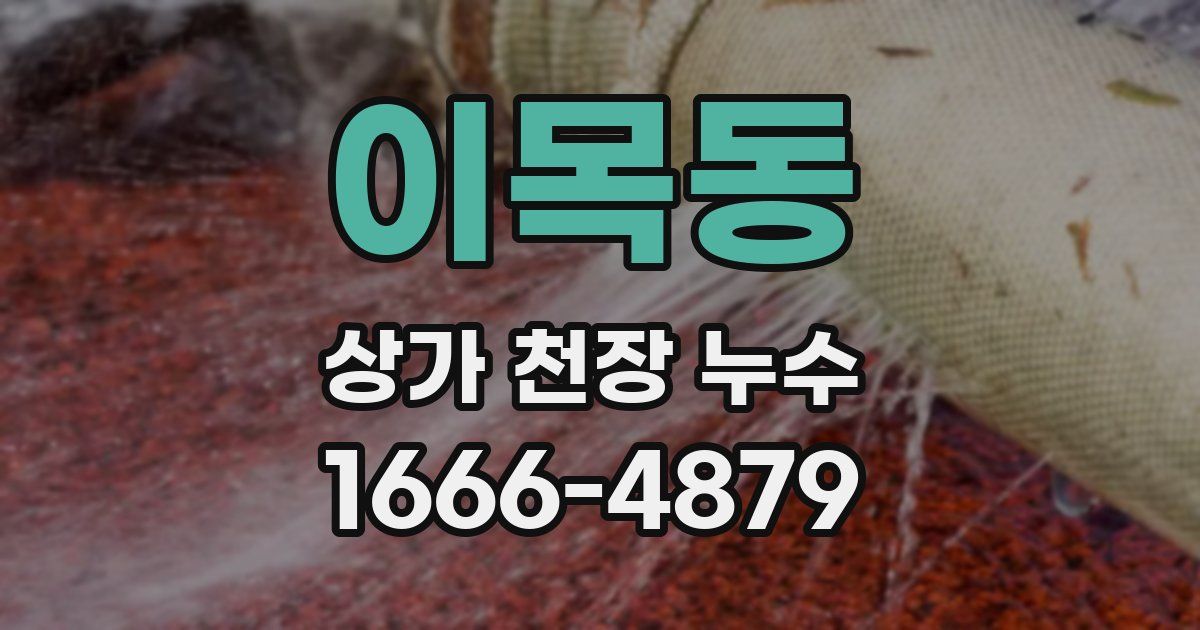 이목동 상가 천장 누수