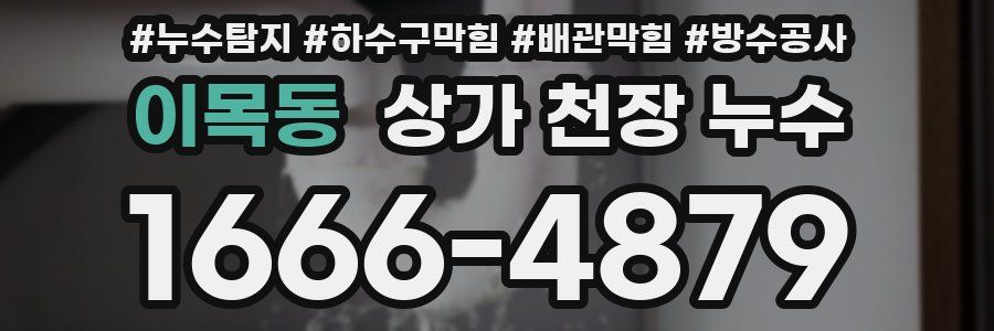 이목동 상가 천장 누수