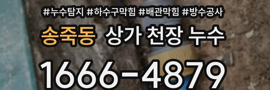 송죽동 상가 천장 누수