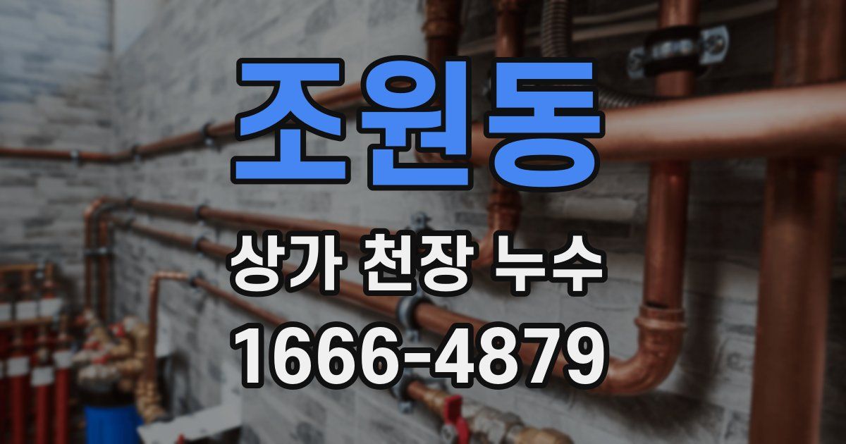 조원동 상가 천장 누수
