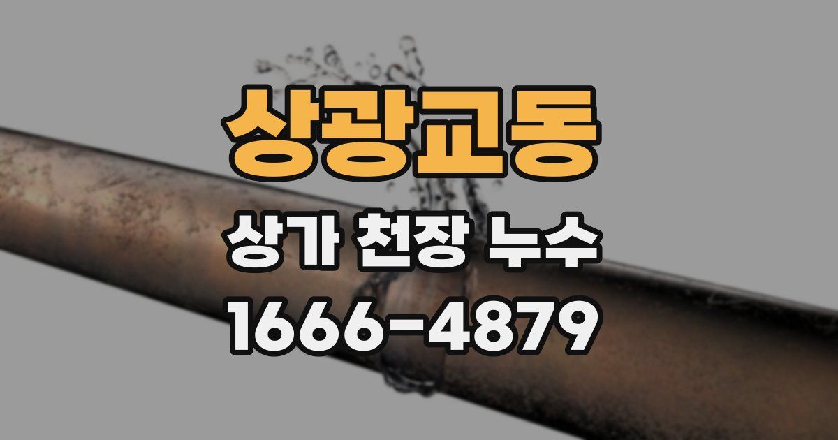 상광교동 상가 천장 누수