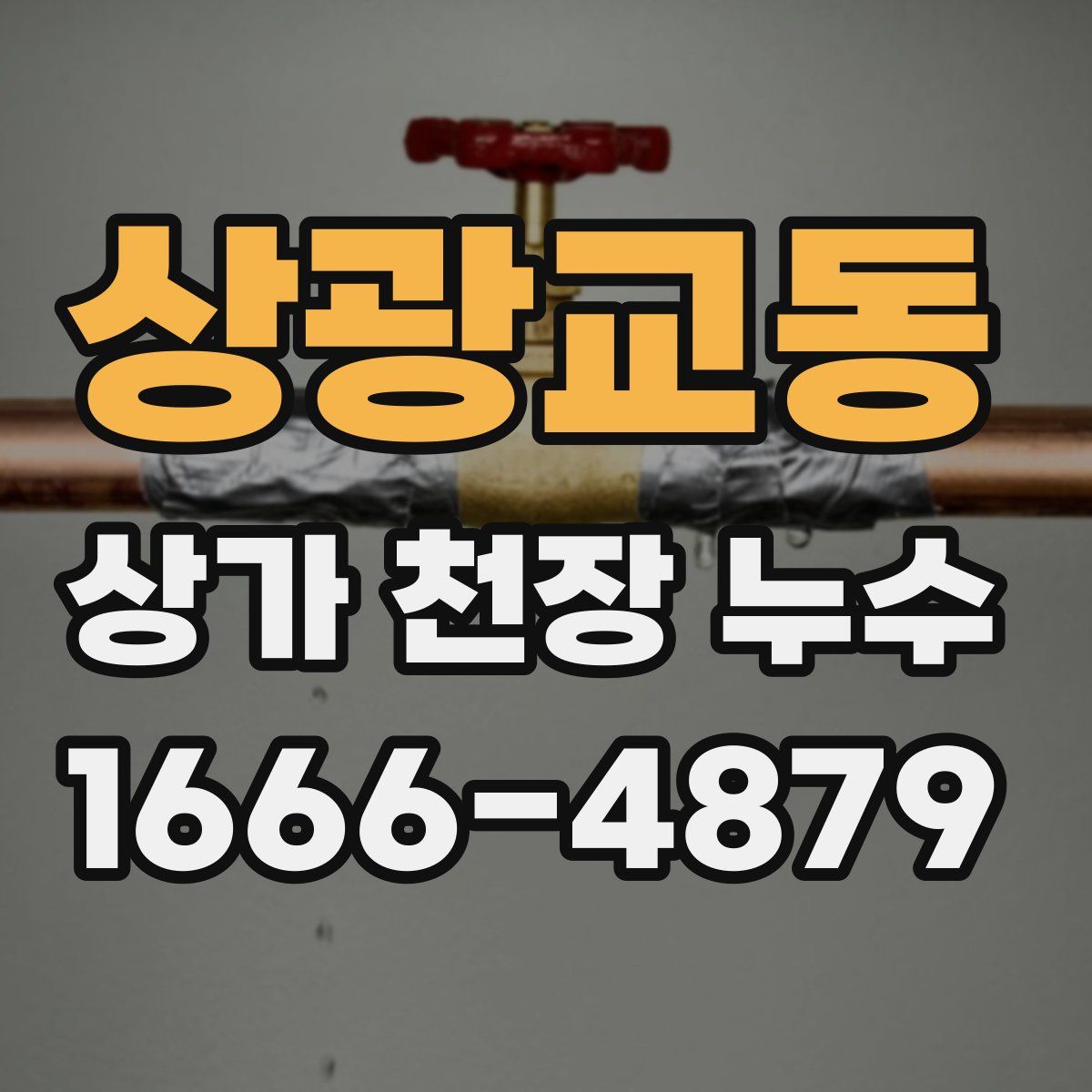 상광교동 상가 천장 누수